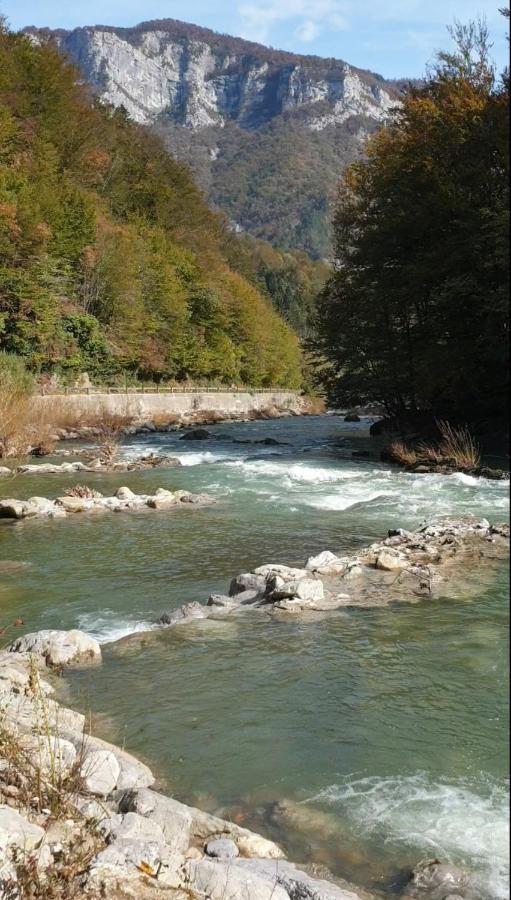 Resort Stari Malni, Osilnica - Vacation Houses Stari Malni ภายนอก รูปภาพ
